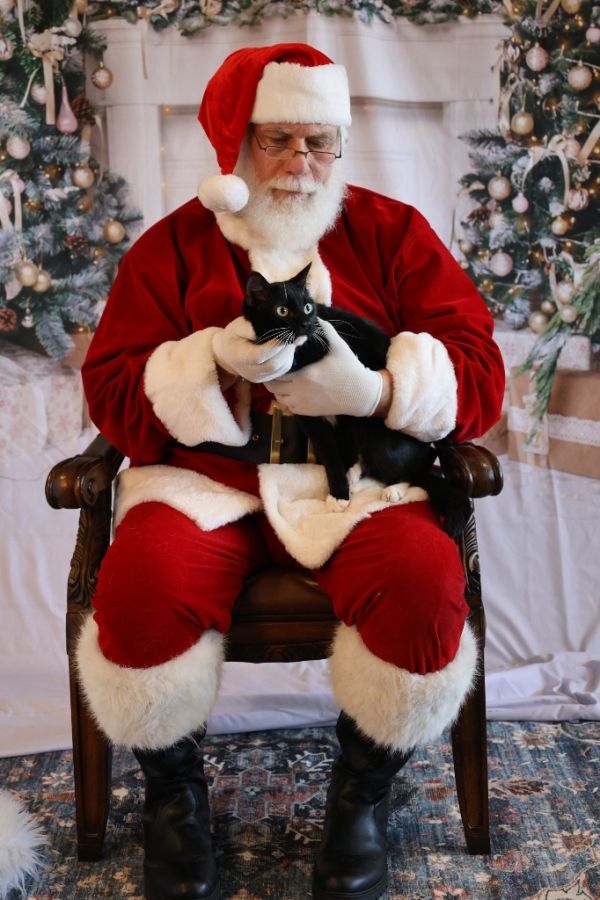 Kowalsky thumbnail 5