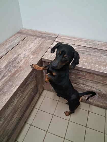 Oliver