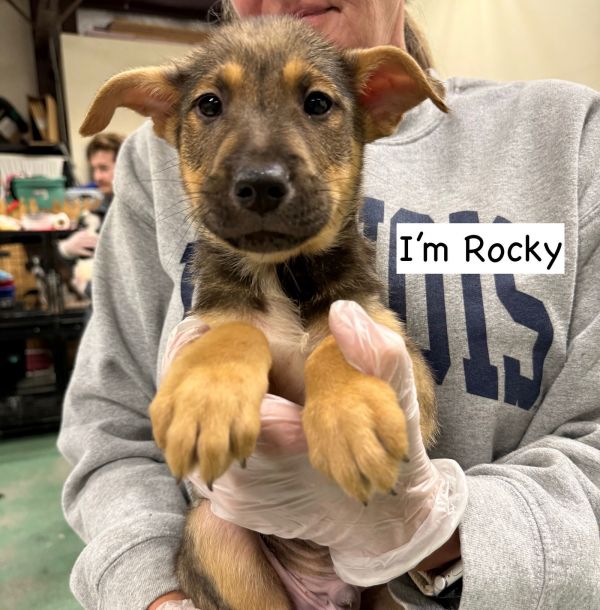 ROCKY