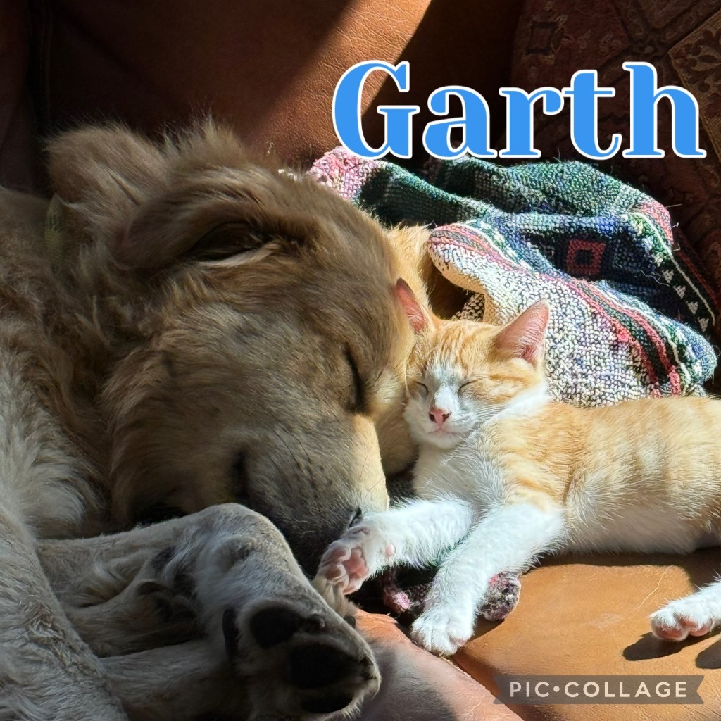 Garth