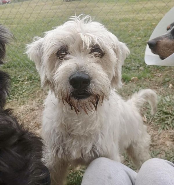 Charley