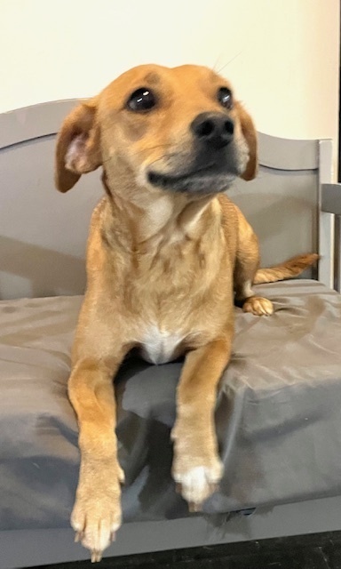 Chloe