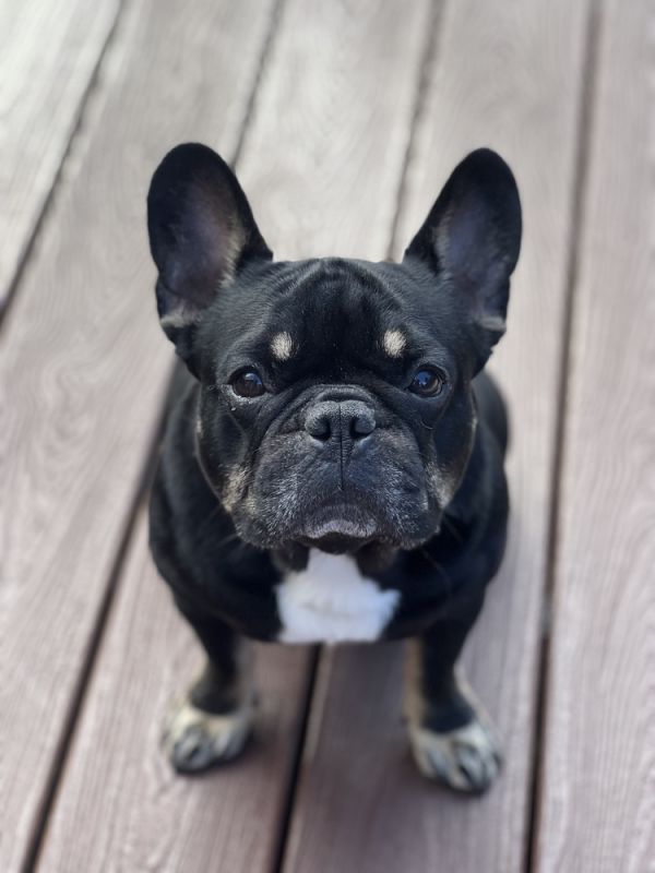 Marlo