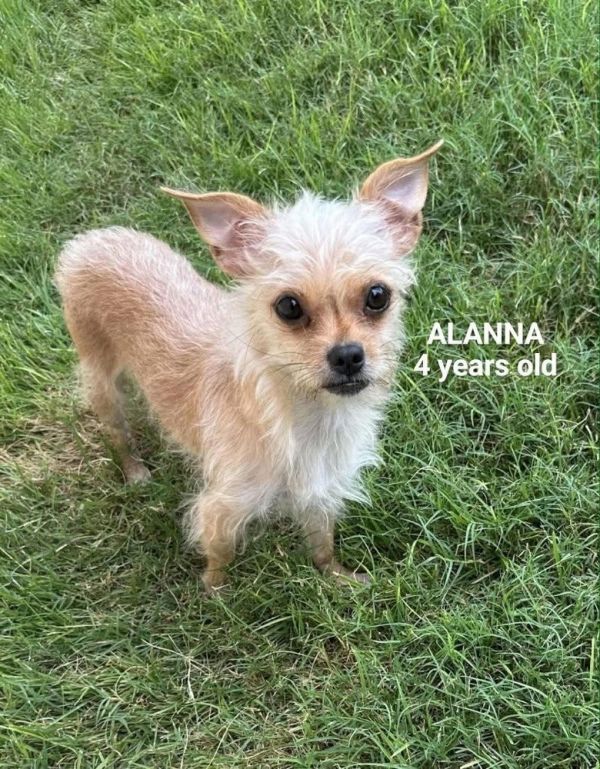 Allana