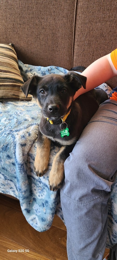 KURT