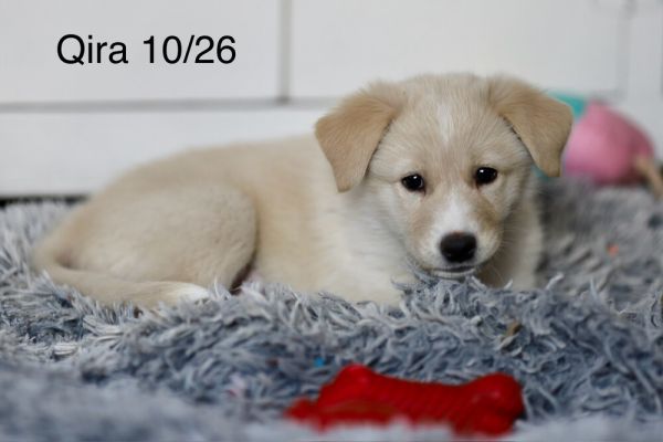 QIRA