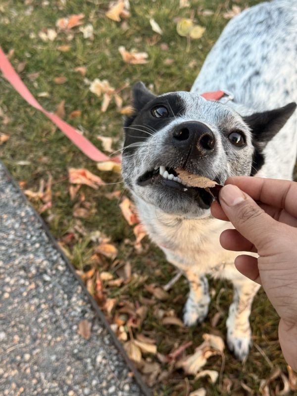 OREO