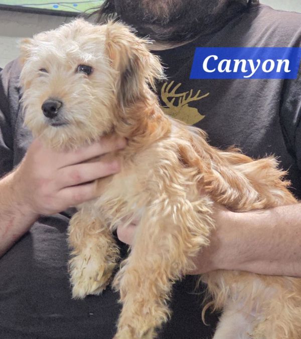 Canyon