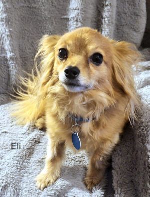 Eli