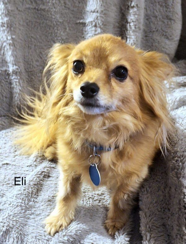 Eli