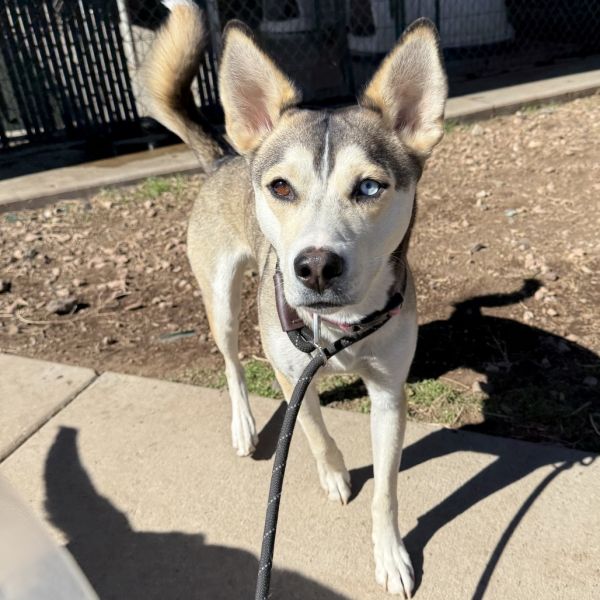 Charity - Independent Lady!