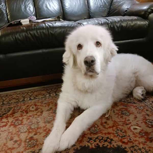 Margaret (nka Princess)