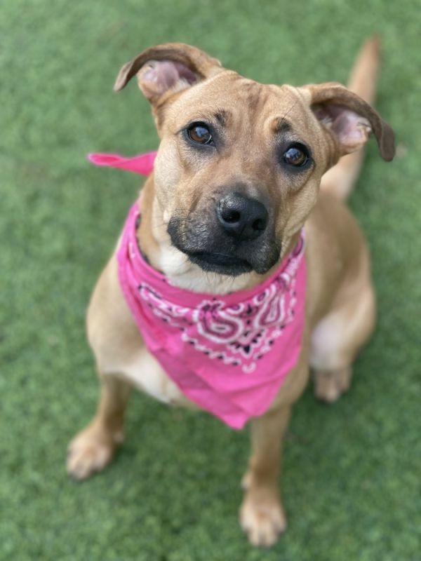 Margarita thumbnail 2