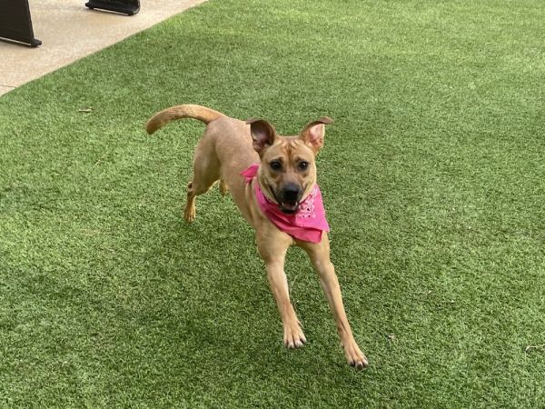 Margarita thumbnail 3