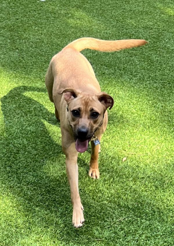 Margarita thumbnail 4