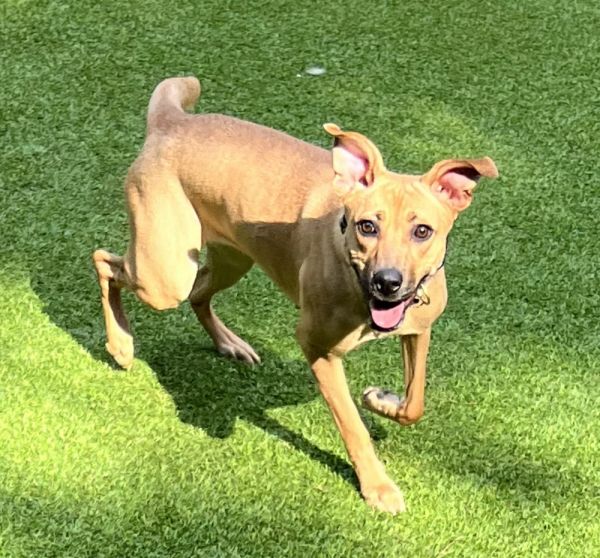 Margarita thumbnail 5