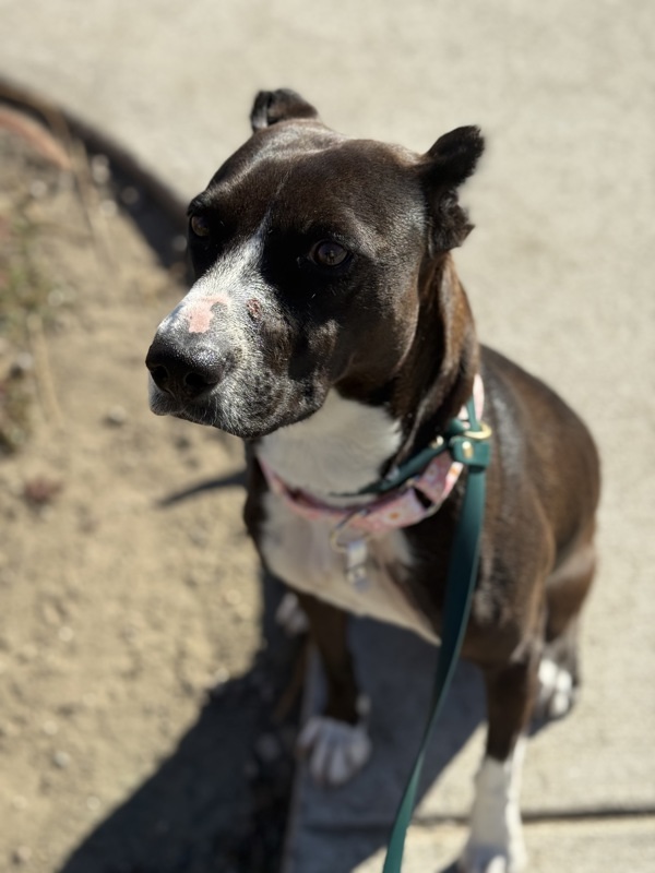 Darian Hw+ thumbnail 2