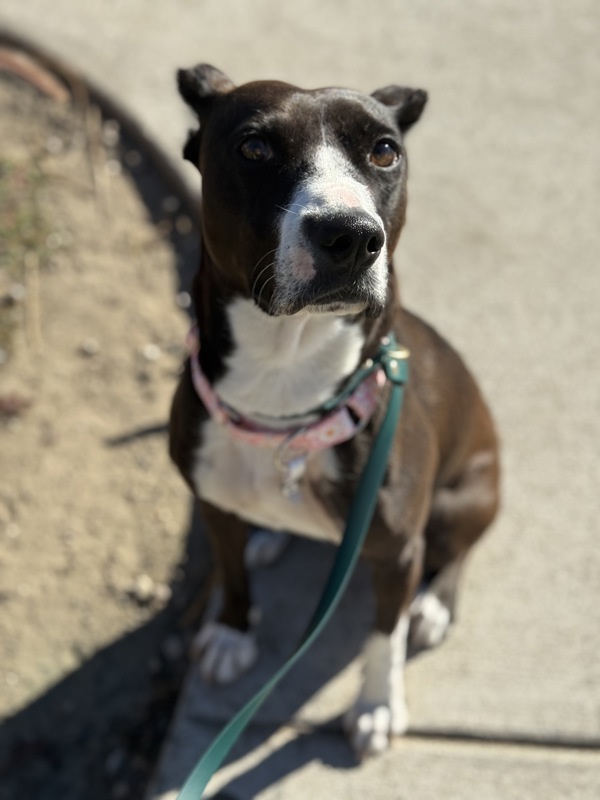 Darian Hw+ thumbnail 3