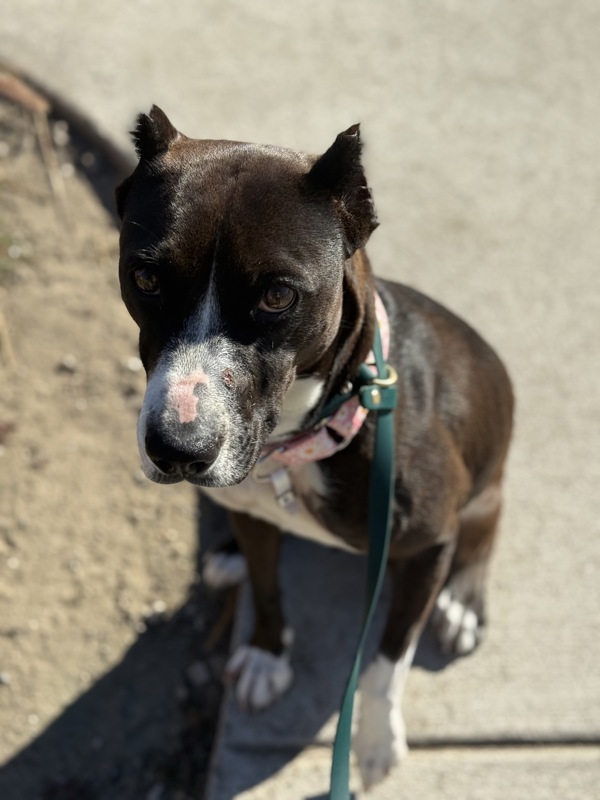 Darian Hw+ thumbnail 4