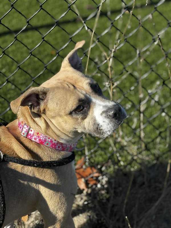 Elarahw+ thumbnail 2