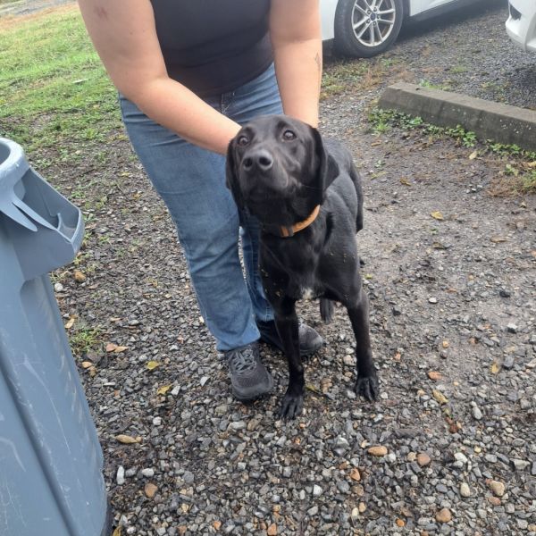 Tucker Razzle thumbnail 2