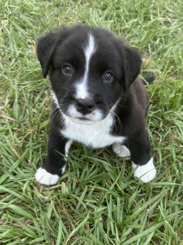 Vinny Arriving thumbnail 2