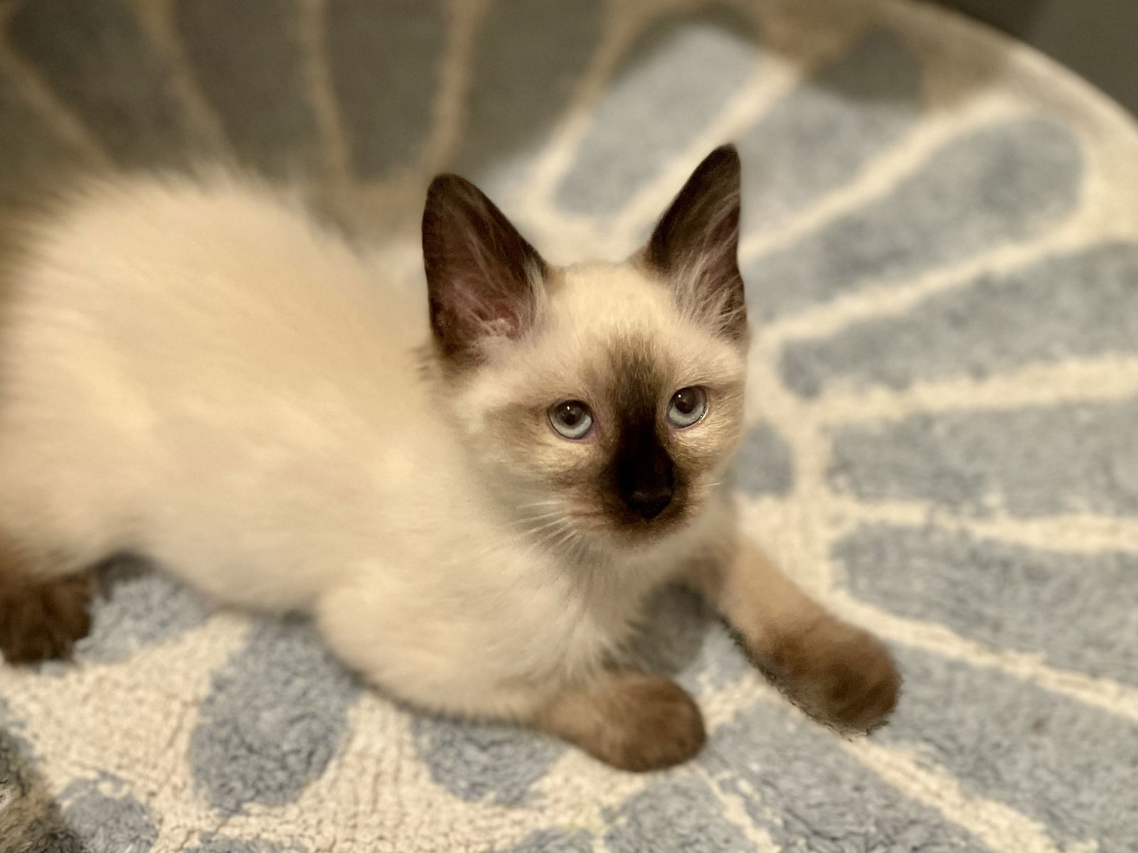 River (Bonded with Rain)