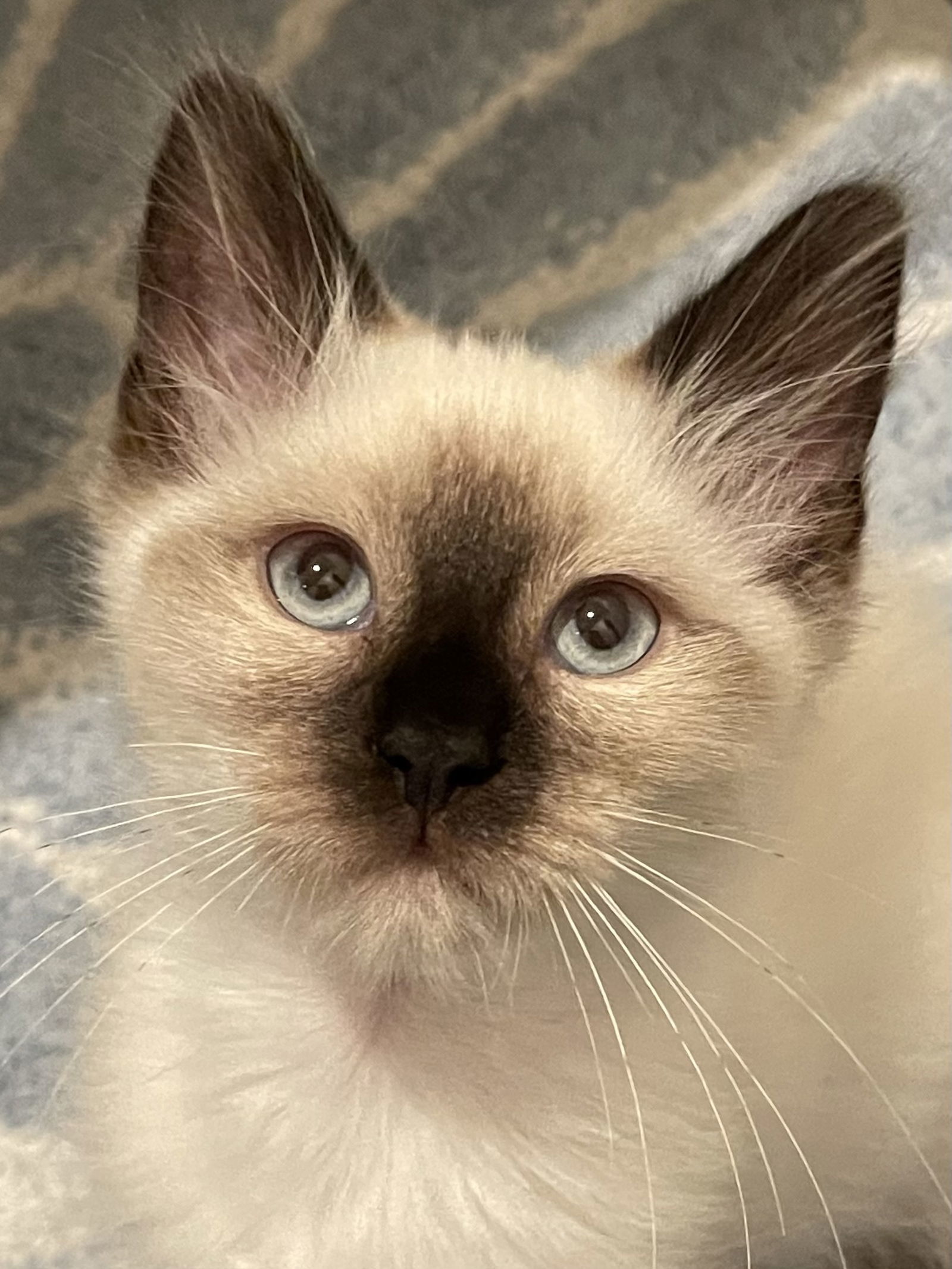 River (Bonded with Rain)