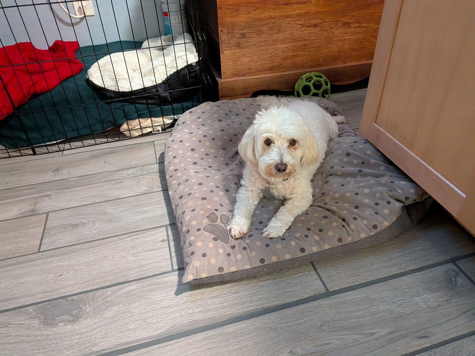 Casper *FH bonded with Mack