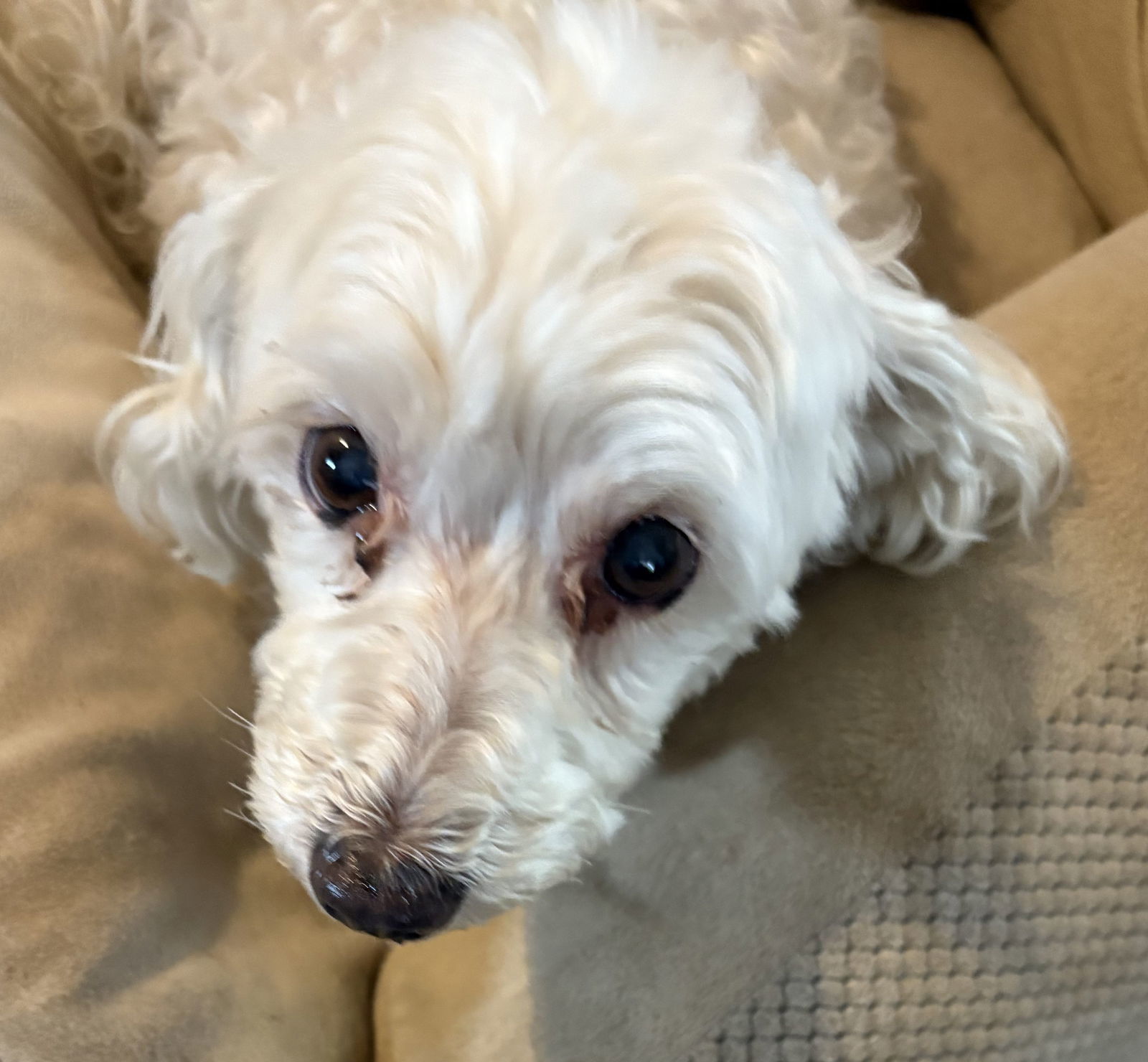 Casper *FH bonded with Mack