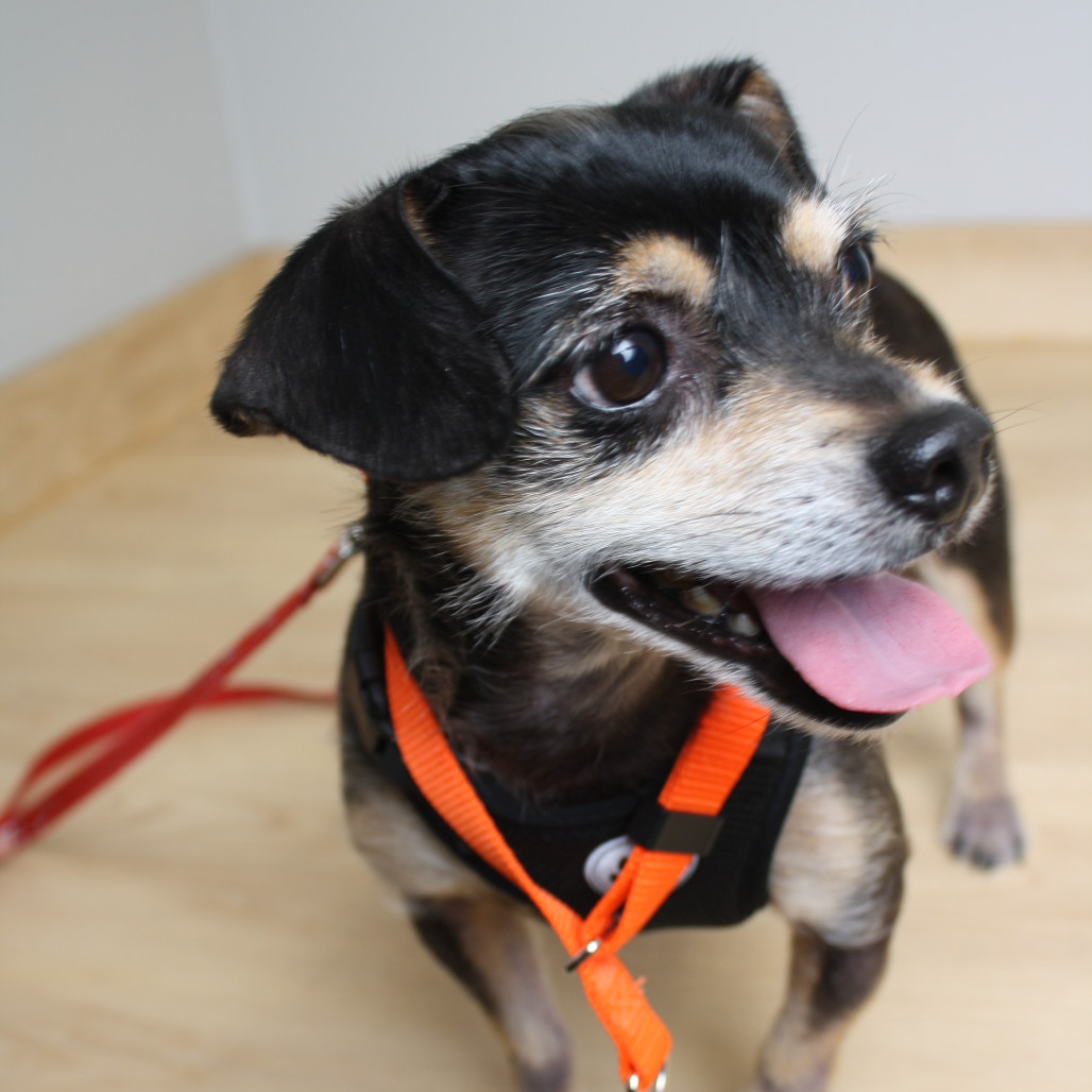 Oscar De La Hoya D66734