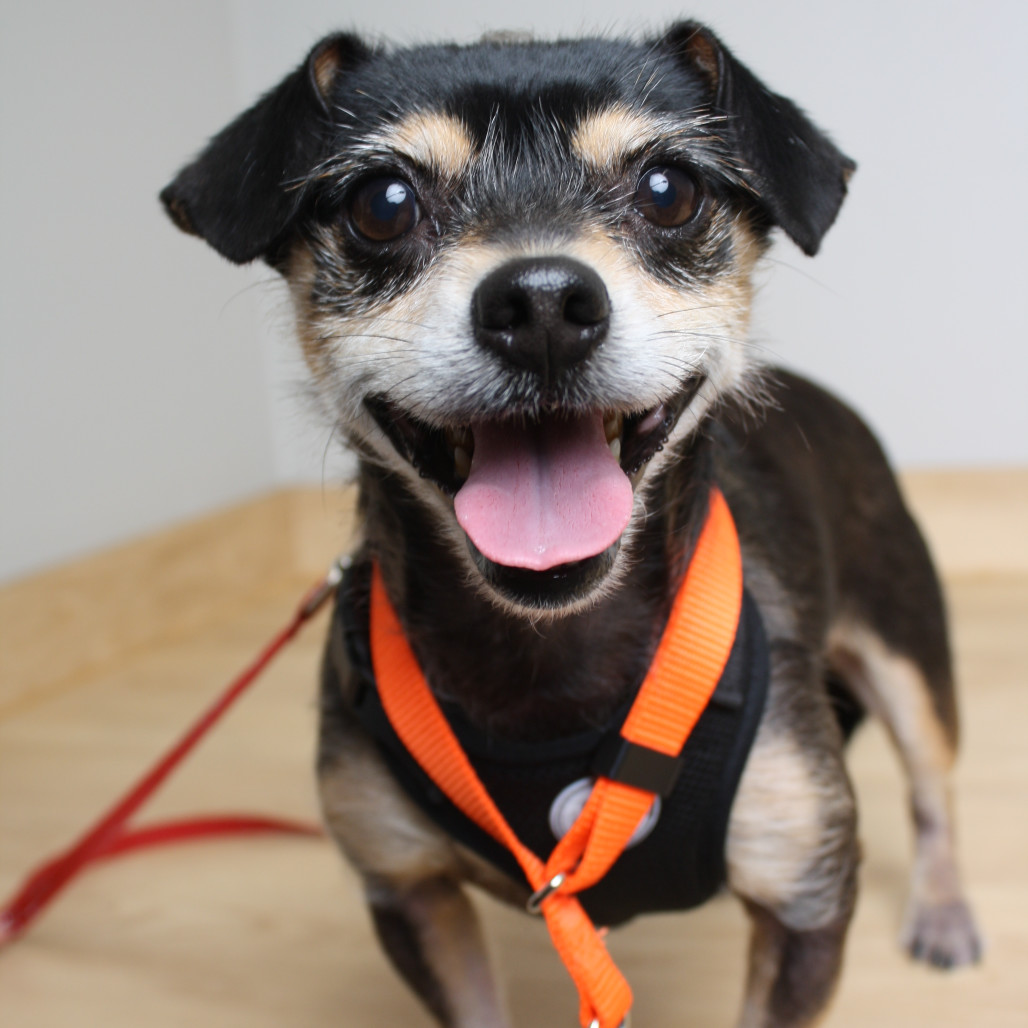 Oscar De La Hoya D66734