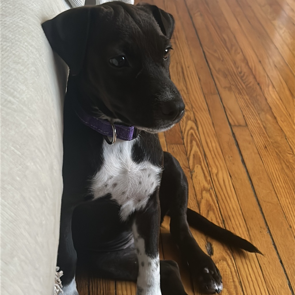 Tombstone Tillie D66749