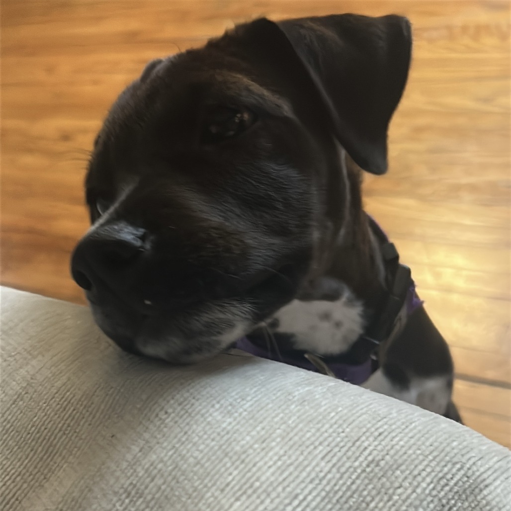 Tombstone Tillie D66749