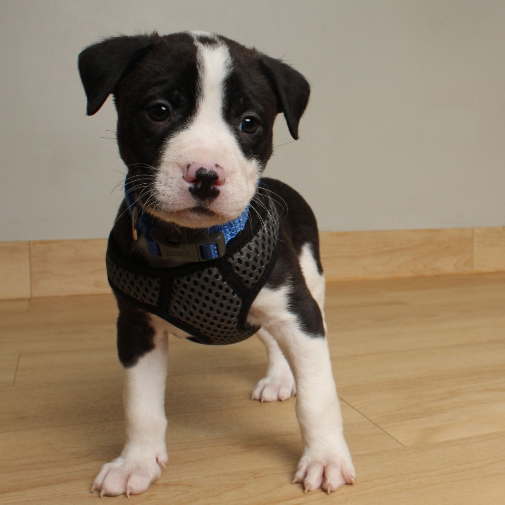 James P. Sullivan D66680