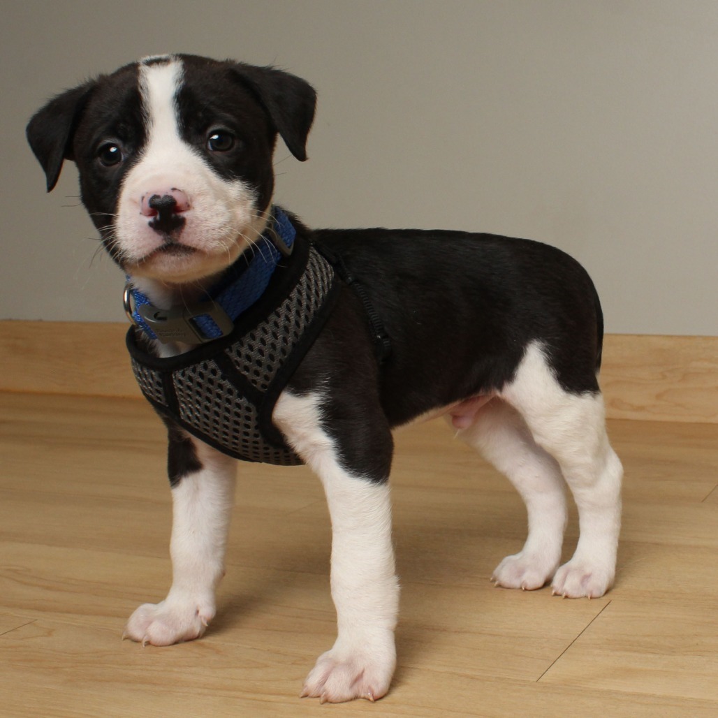 James P. Sullivan D66680