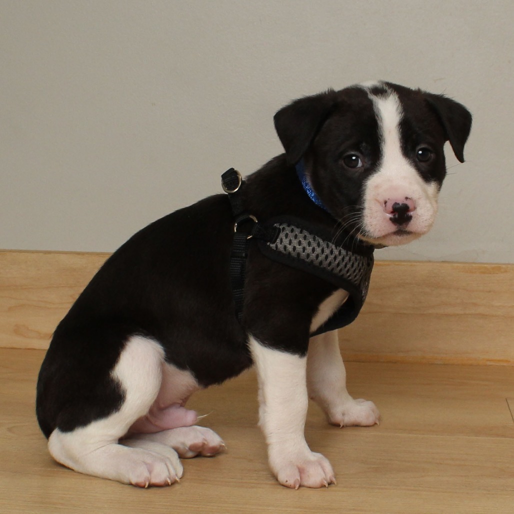 James P. Sullivan D66680