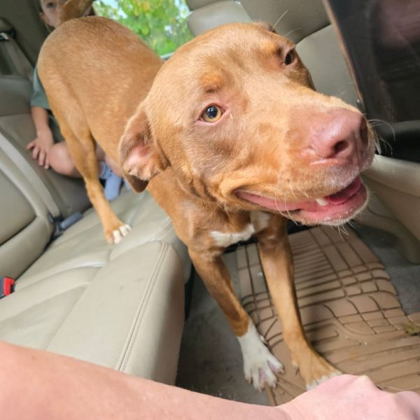 Crossword thumbnail 2