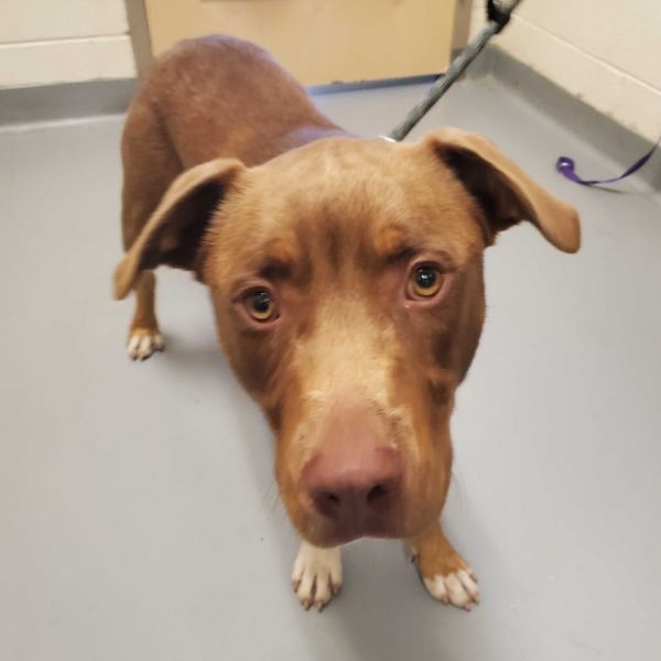 Crossword thumbnail 3