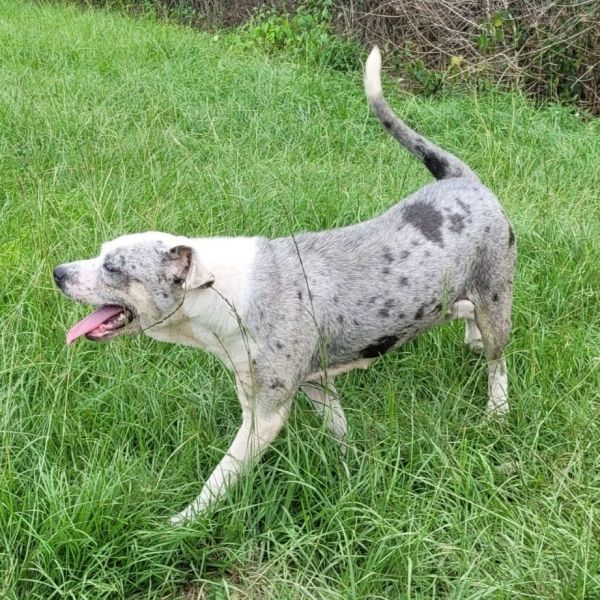 Charlotte thumbnail 2