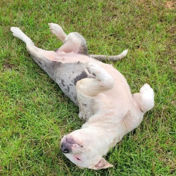 Charlotte thumbnail 3