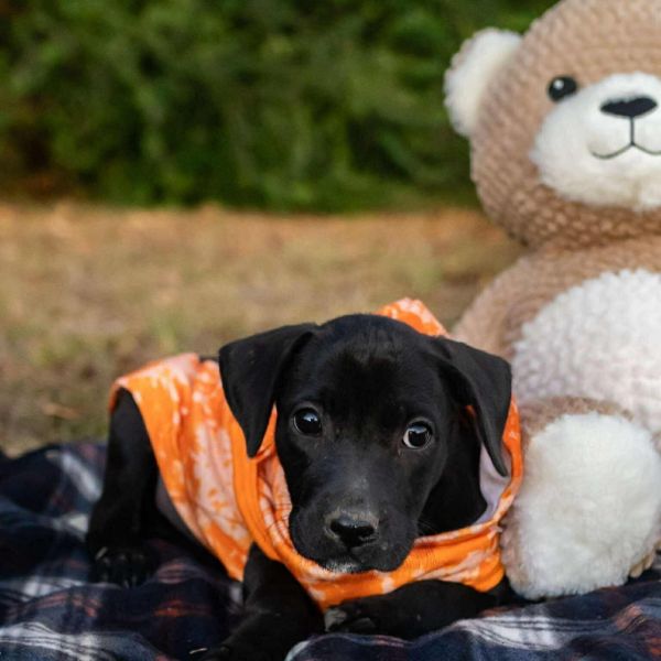 Wednesday thumbnail 2