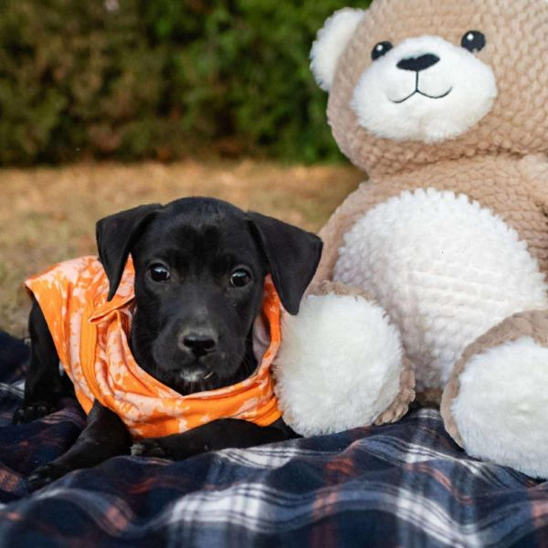 Wednesday thumbnail 3