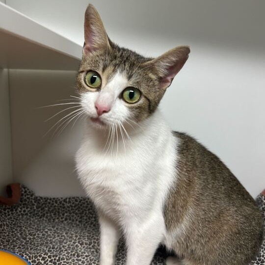 Precious thumbnail 2