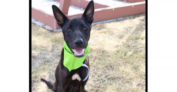 Warrant  Located In photo 1