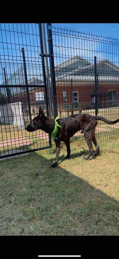 Warrant  Located In thumbnail 2