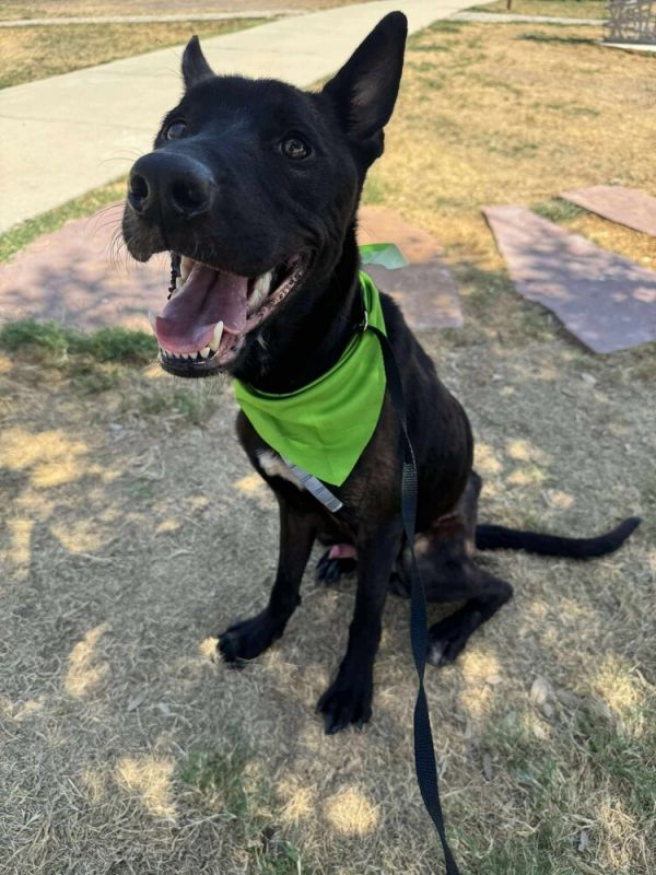 Warrant  Located In thumbnail 3