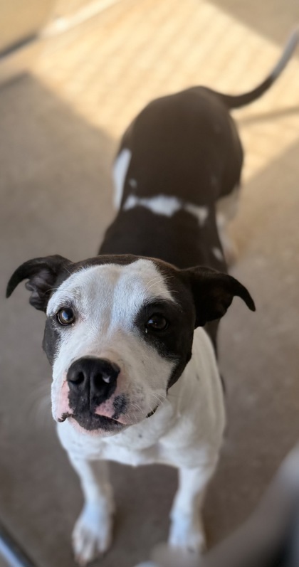 Esmeralda thumbnail 2