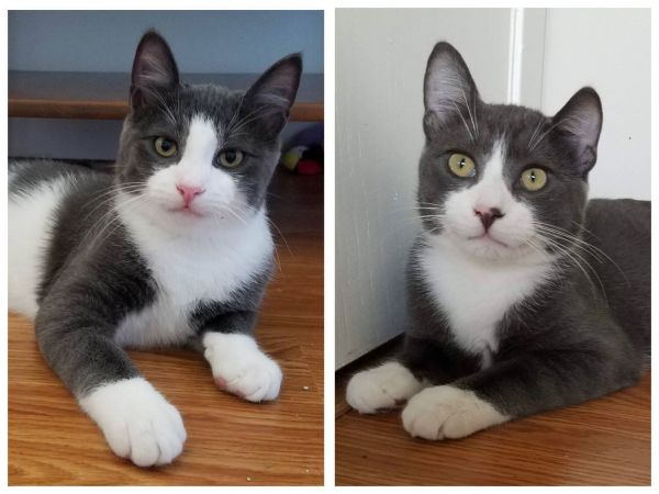 Mickey &amp; Mousie thumbnail 2