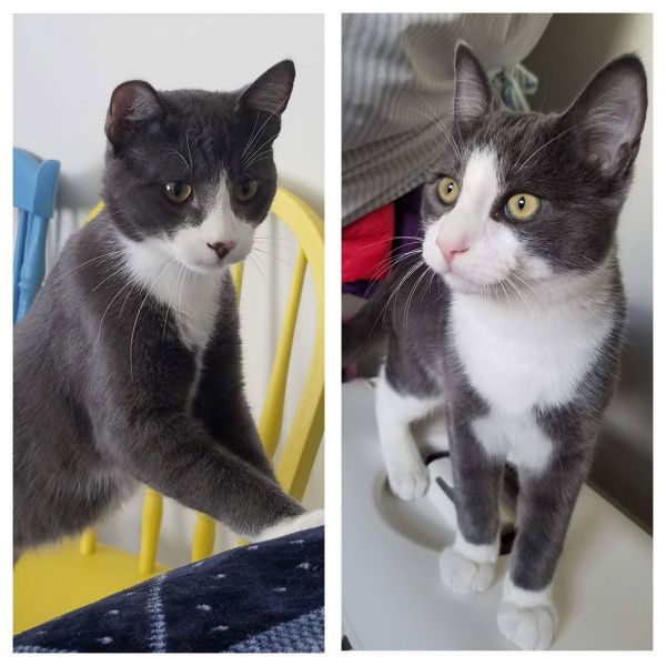 Mickey &amp; Mousie thumbnail 3